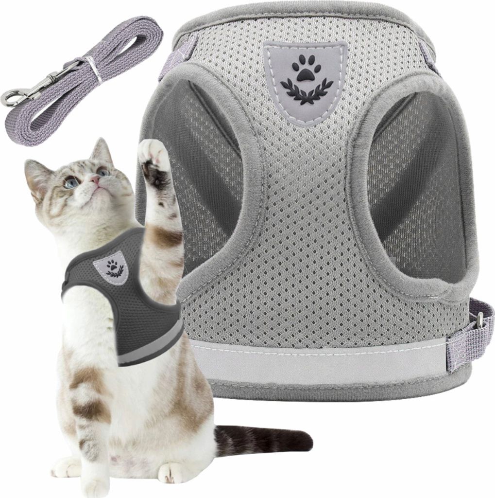 A cat wearing a gray harness and a gray leash is shown next to a larger gray harness.