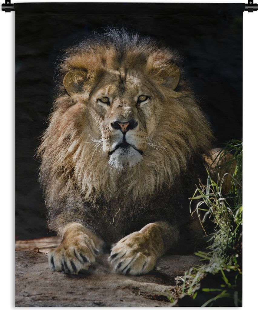 MuchoWow Wandteppich Wandbehang Löwen - Jagd - Porträt 120x160 cm Tapisserie Dekoration Wandtuch - Wohnzimmer - Moderne