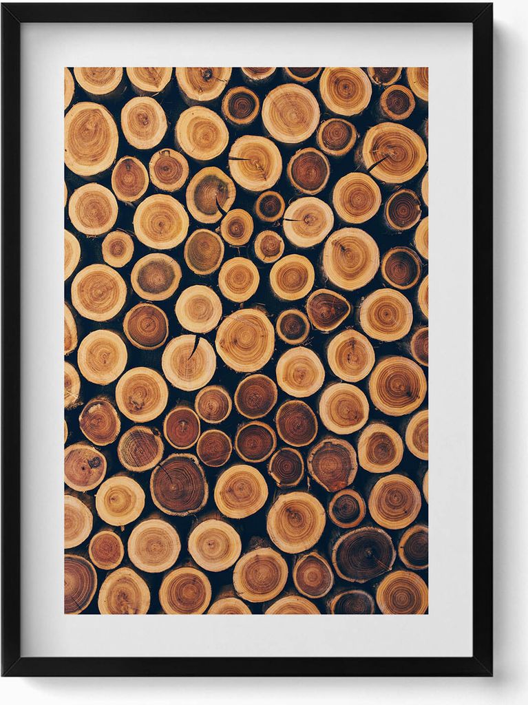 Hölzerne Baumstämme– Wandbild mit Rahmen – Gerahmtes Bild – Wanddekoration – 50x70 cm – Schwarz Rahmen