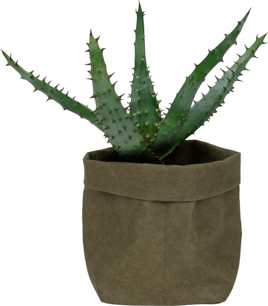 QUVIO Pflanzentasche - Blumentopf aus Kraftpapier - Blumentöpfe für drinnen - Blumentöpfe für draußen - 9 x 9 x 15 cm - Dunkelgrün