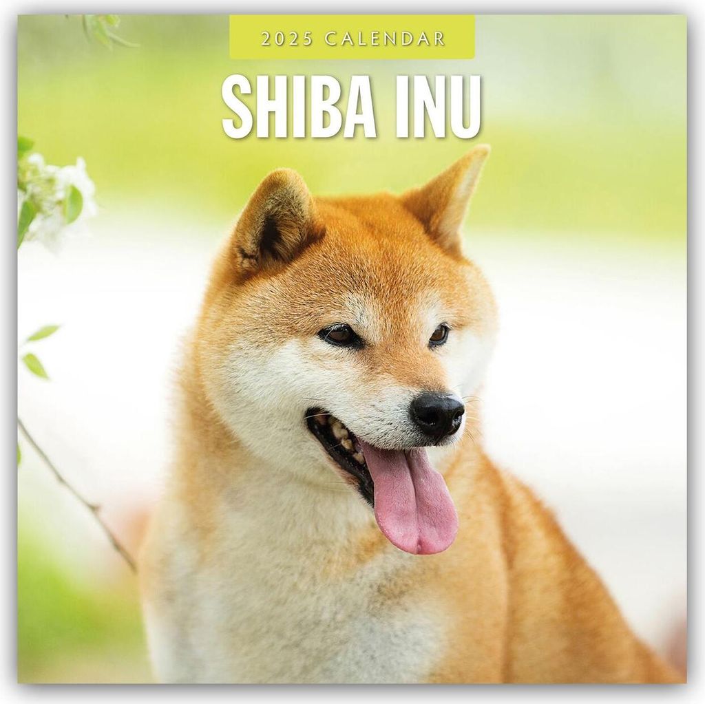 Shiba Inu 2025 - 16-Monatskalender