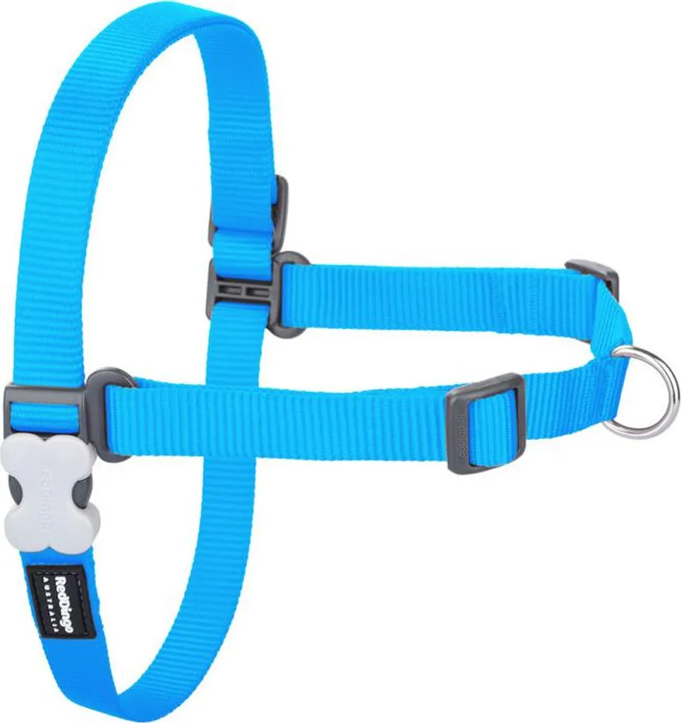 Pettorina Elegante Red Dingo Turchese M/L - Stile e Comfort 59-84cm