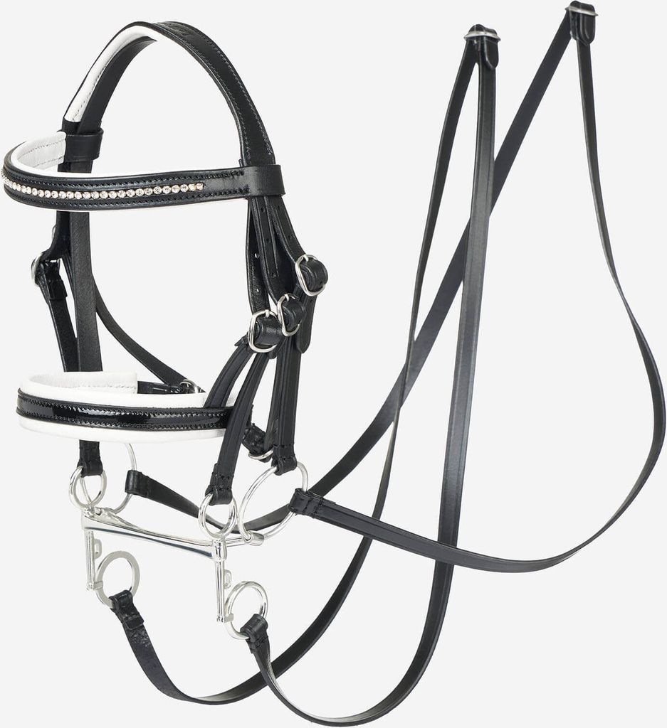 A black and white horse bridle with silver metal fittings, presented against a plain white background.