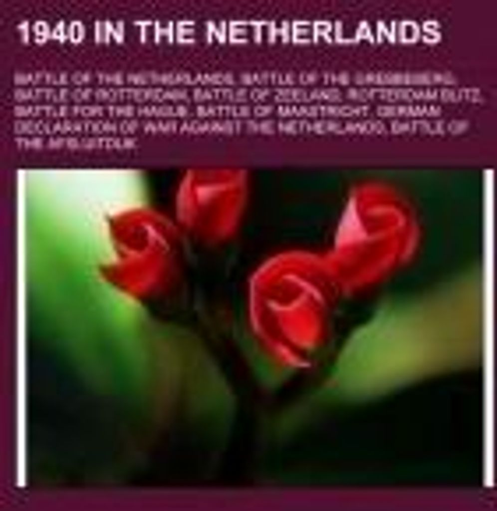 1940 in the Netherlands