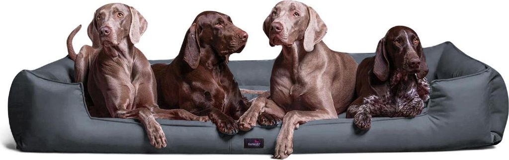 tierlando Orthopädisches Hundebett GOOFY >> inkl. Matratzenschoner << Polyester - Größe: 160x110cm | Farbe: 06 Grau