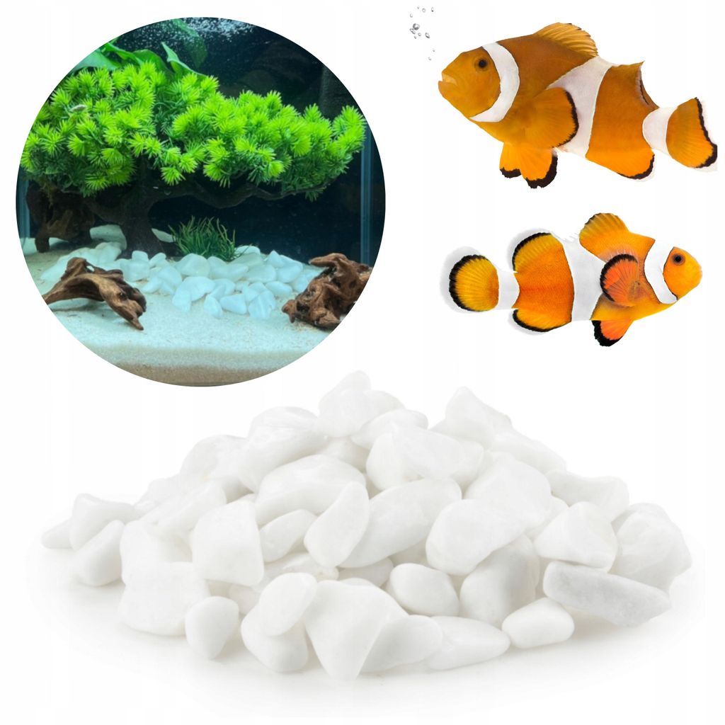 Aquariendeko Kies Weiss 3 kg 1-3 cm