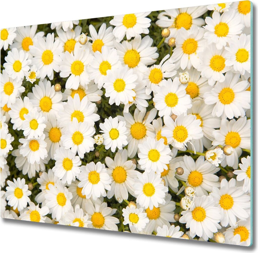 Glas Herdabdeckplatte 60x52 cm Spritzschutz Produktbild 