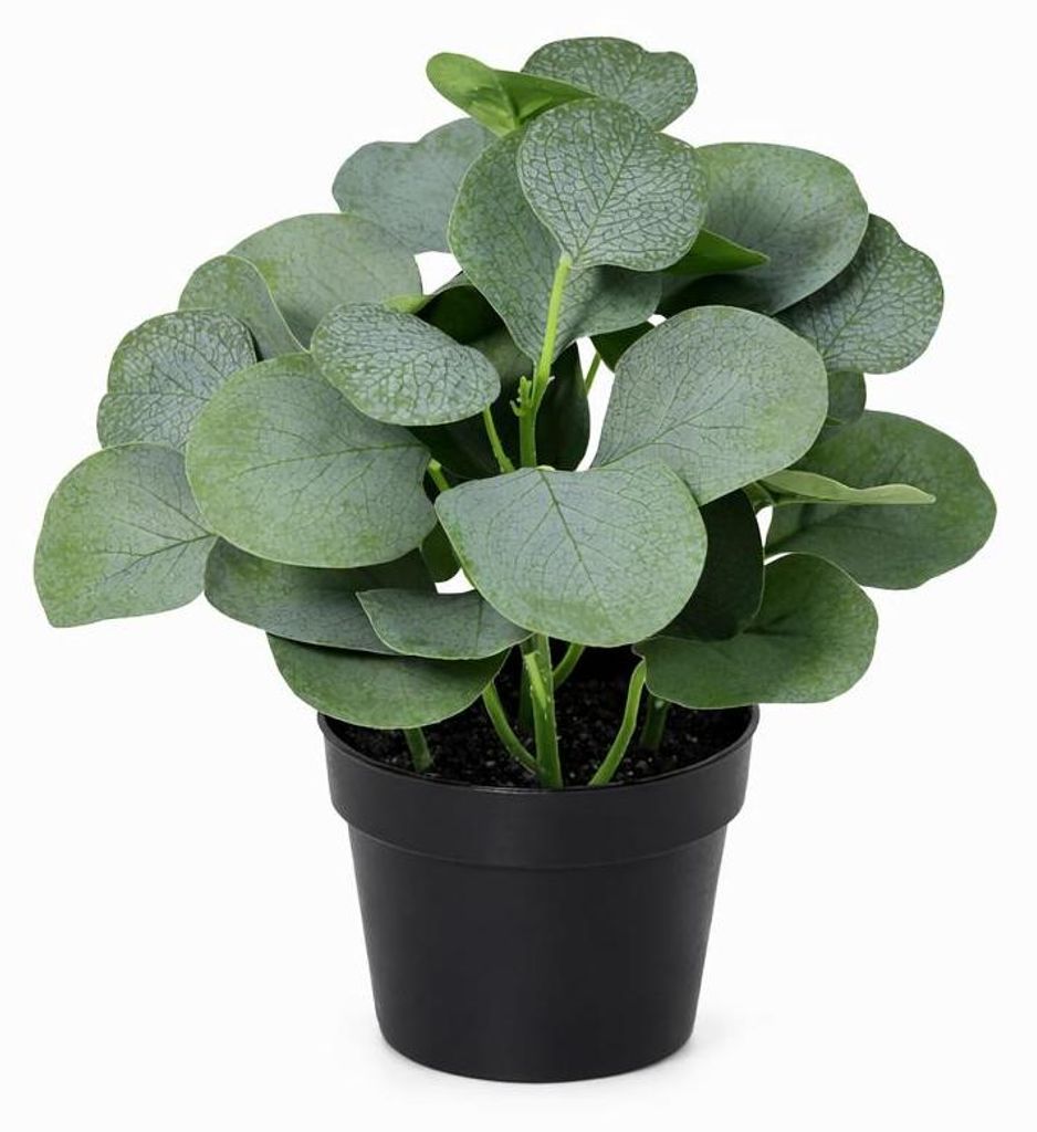 Künstlicher Eukalyptus 21cm im Topf – realistische Mini Kunstpflanze mit grün-grauen Blättern – pflegefreie Zimmerdeko – ganzjährig schö...