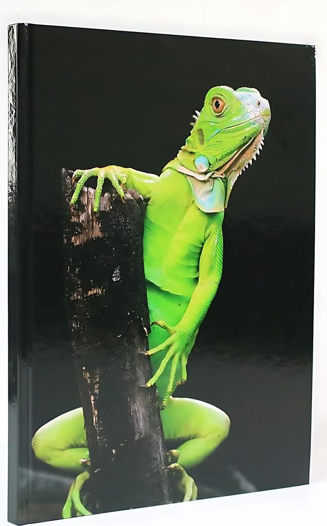 ADINA Notizbuch A4 blanko Leguan fester Deckel Produktbild 