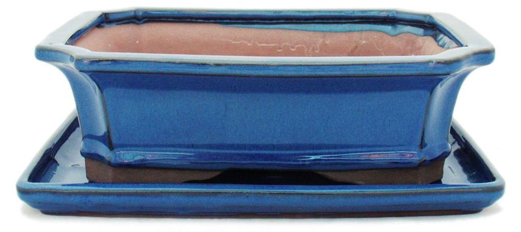 Bonsai-Schale mit Unterteller Gr. 4 - Blau - eckig - Modell G4 - L 26cm - B 20cm - H 8cm