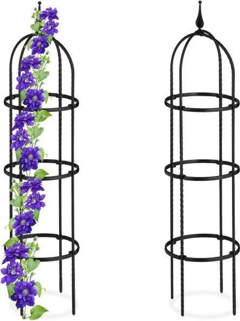 Rankgitter 100 cm, 2er-Set