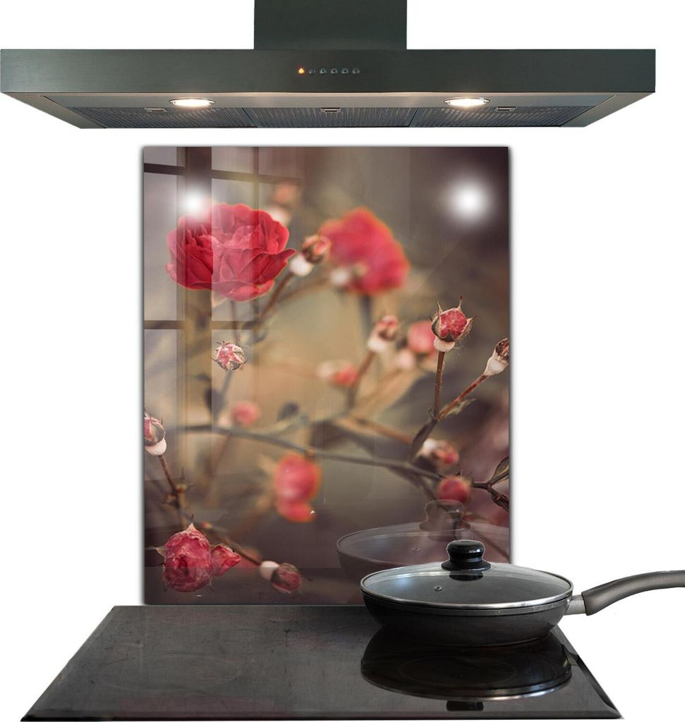 Spritzschutz aus Glas Küchenrückwand - Wandschutz für Herd und Spüle - 60x80 cm - Wildrose im Park