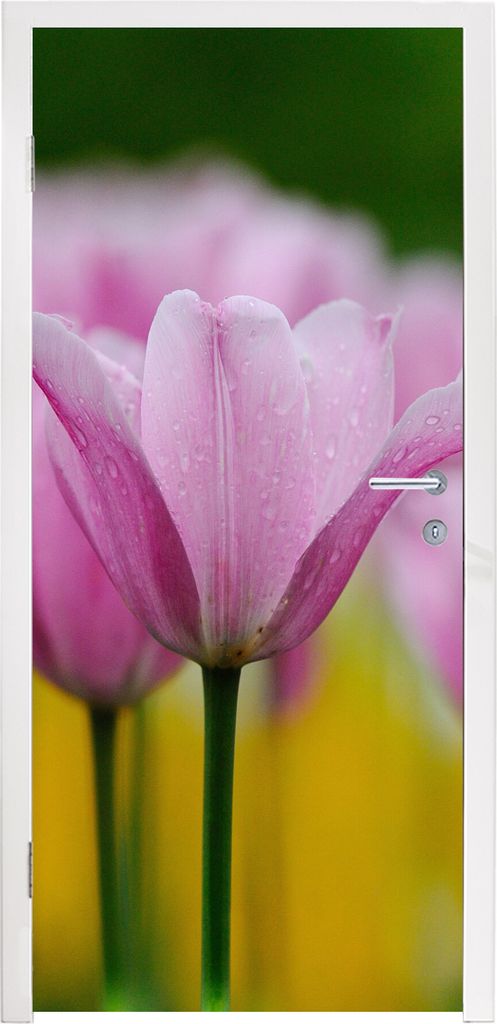 MuchoWow Türtapete Selbstklebende Türfolie Blumen - Tulpen - Rosa 85x205 cm Türposter Türaufkleber Klebefolie Türklebefolie - Türverzierung...