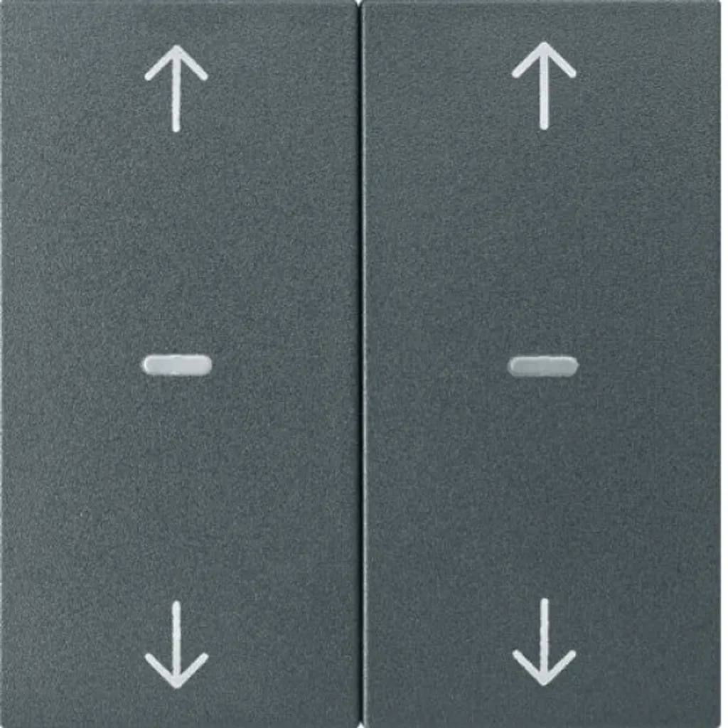 Berker KNX S.1 Plaque 2 Postes Anthrazit Matt 80961385 Finition Mat