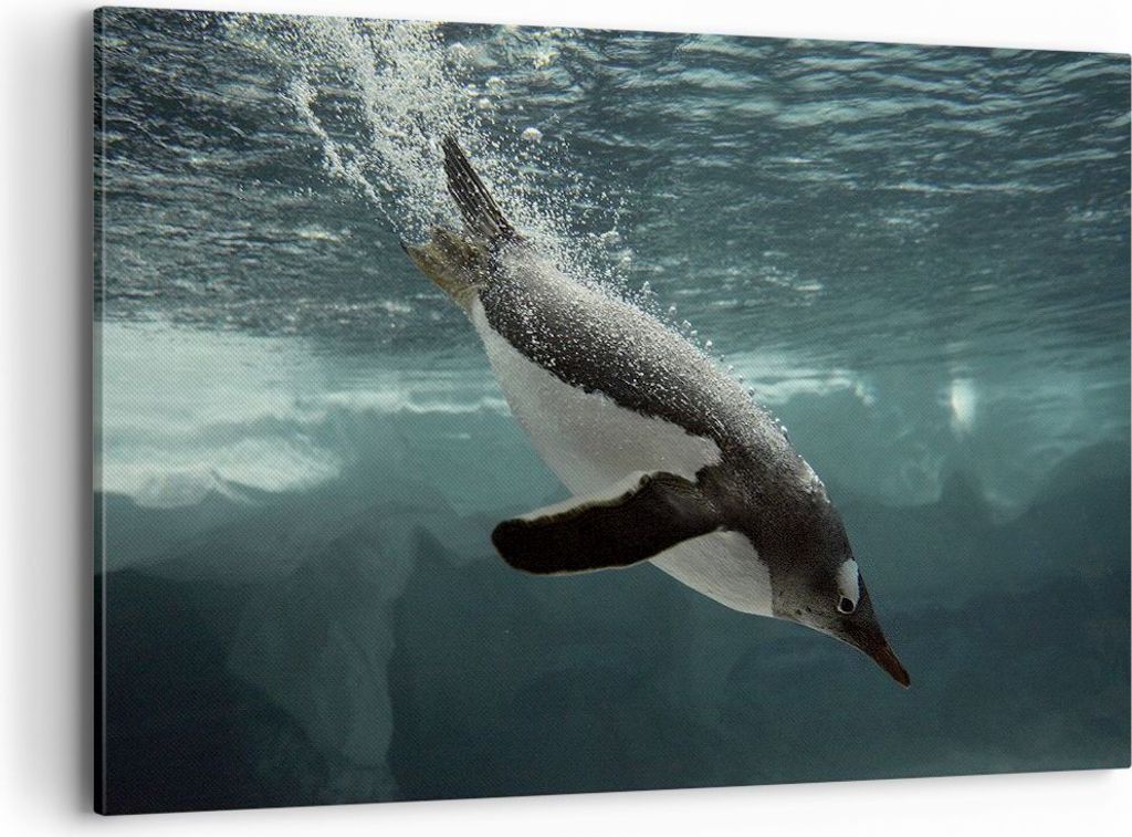 Bild auf Leinwand - Leinwandbild - Einteilig - Tauchen Pinguin Gletscher - 120x80cm - Wand Bild - Wanddeko - Wandbilder - Leinwanddruck - Bilder - ...