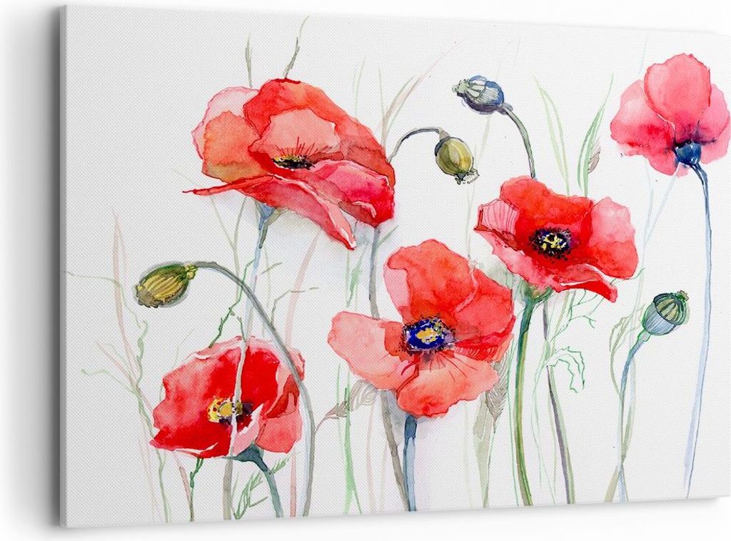 Bild auf Leinwand - Leinwandbild - Blume Mohn Wiese - Produktbild 