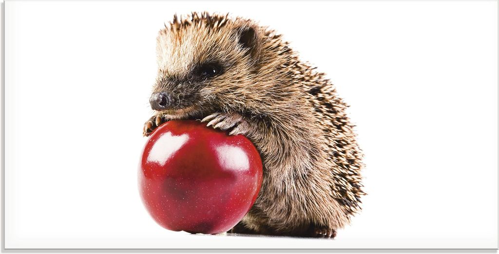 ARTland Glasbild Glücklicher Igel Größe: 100x50 cm