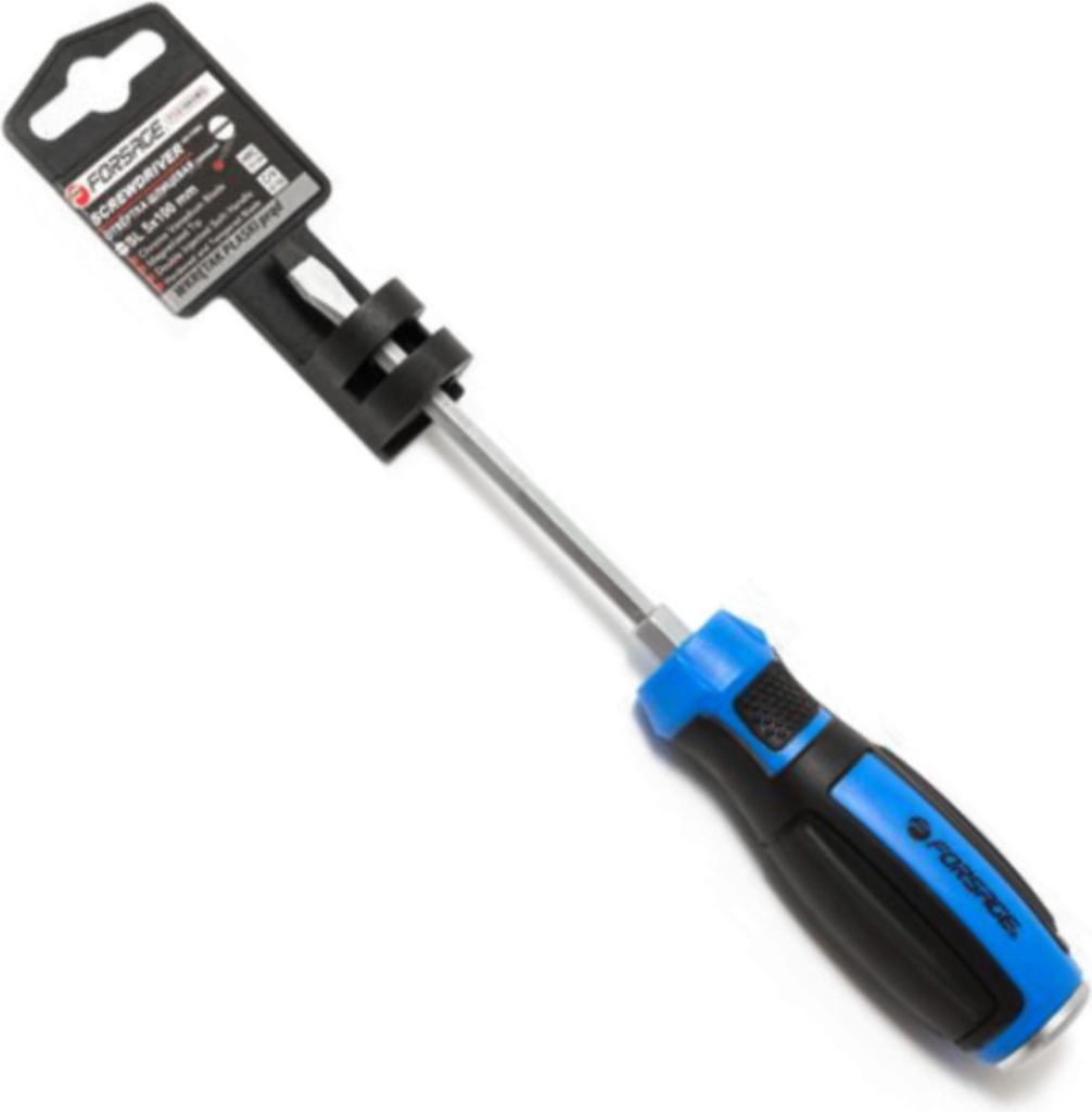 Forsage SL5x100mm Flachschraubendreher