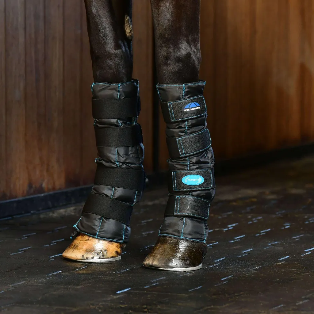 Guêtres Weatherbeeta Therapy-Tec II Gel Ice Boots Noir Taille M Cheval