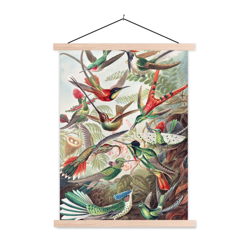 MuchoWow Textilposter Kolibri - Vintage - Ernst Haeckel - Vogel - Kunst - Natur 60x80 cm mit holzfarbenen Rahmen - Wandbild