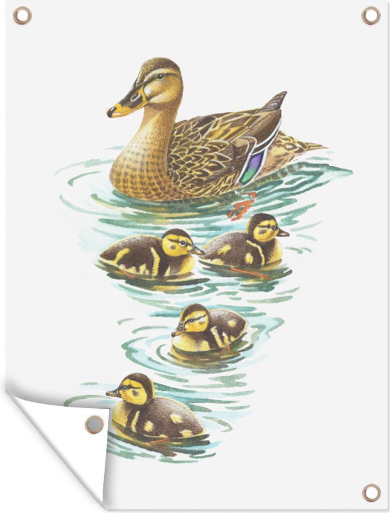MuchoWow 60x80 cm Outdoor-Poster Gartendeko Sichtschutz Garten Poster für den Garten Ente - Illustration - Baby