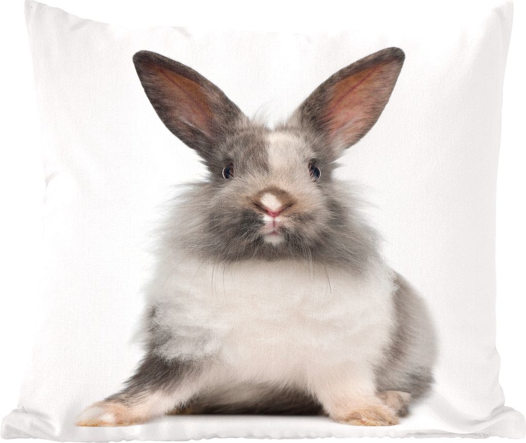 MuchoWow Zierkissen Sofakissen Wohnzimmer Dekokissen 40x40 cm Kaninchen - Haustier - Fell - Weiß - Sofakissenbezüge - ohne füllung