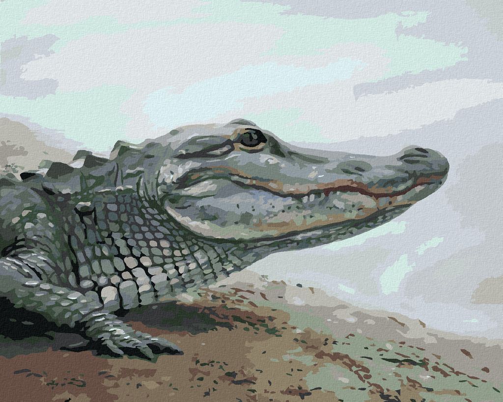 Zuty - Malen nach Zahlen - ALLIGATOR AM WASSER (D. RUSTY RUST), 40x50 cm, mit Keilrahmen (bereits gespannt)