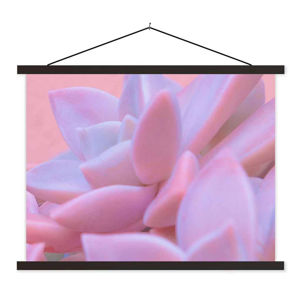 MuchoWow Textilposter Sukkulente - Sommer - Rosa - Pflanzen 60x45 cm mit schwarzem Rahmen - Poster Schlafzimmer