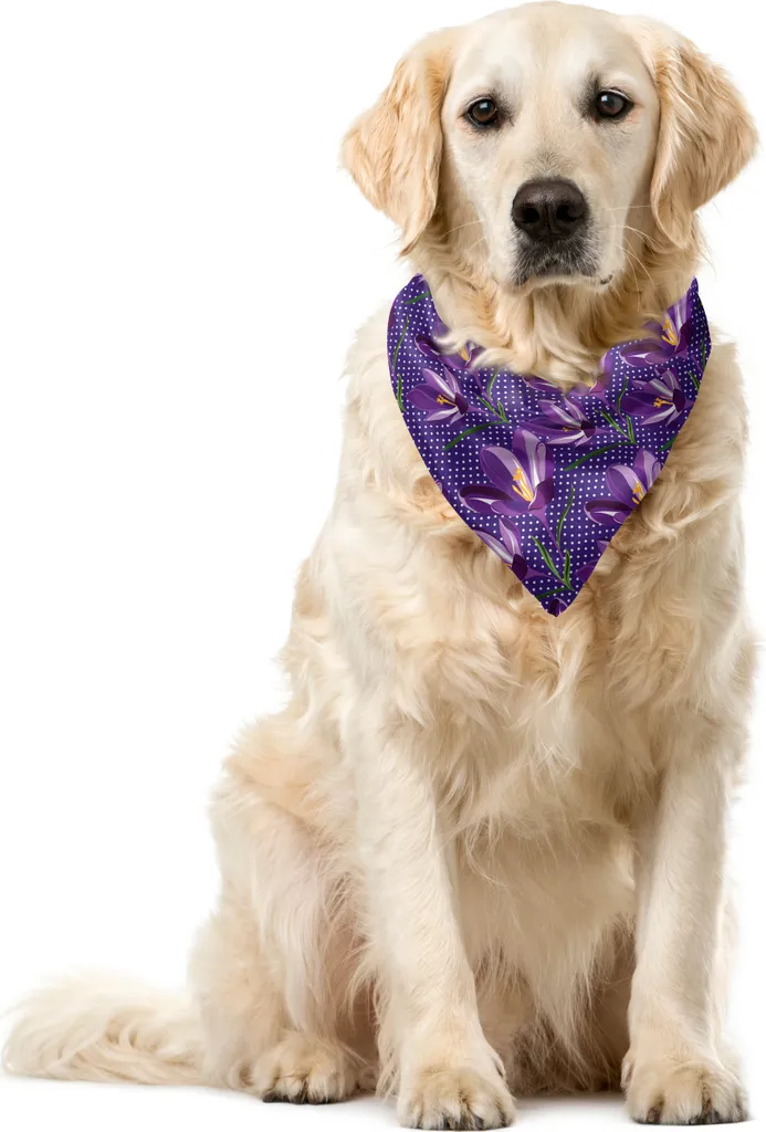 Regalo Speciale: Bandana ABAKUHAUS Viola Aloha per Animali 40cm