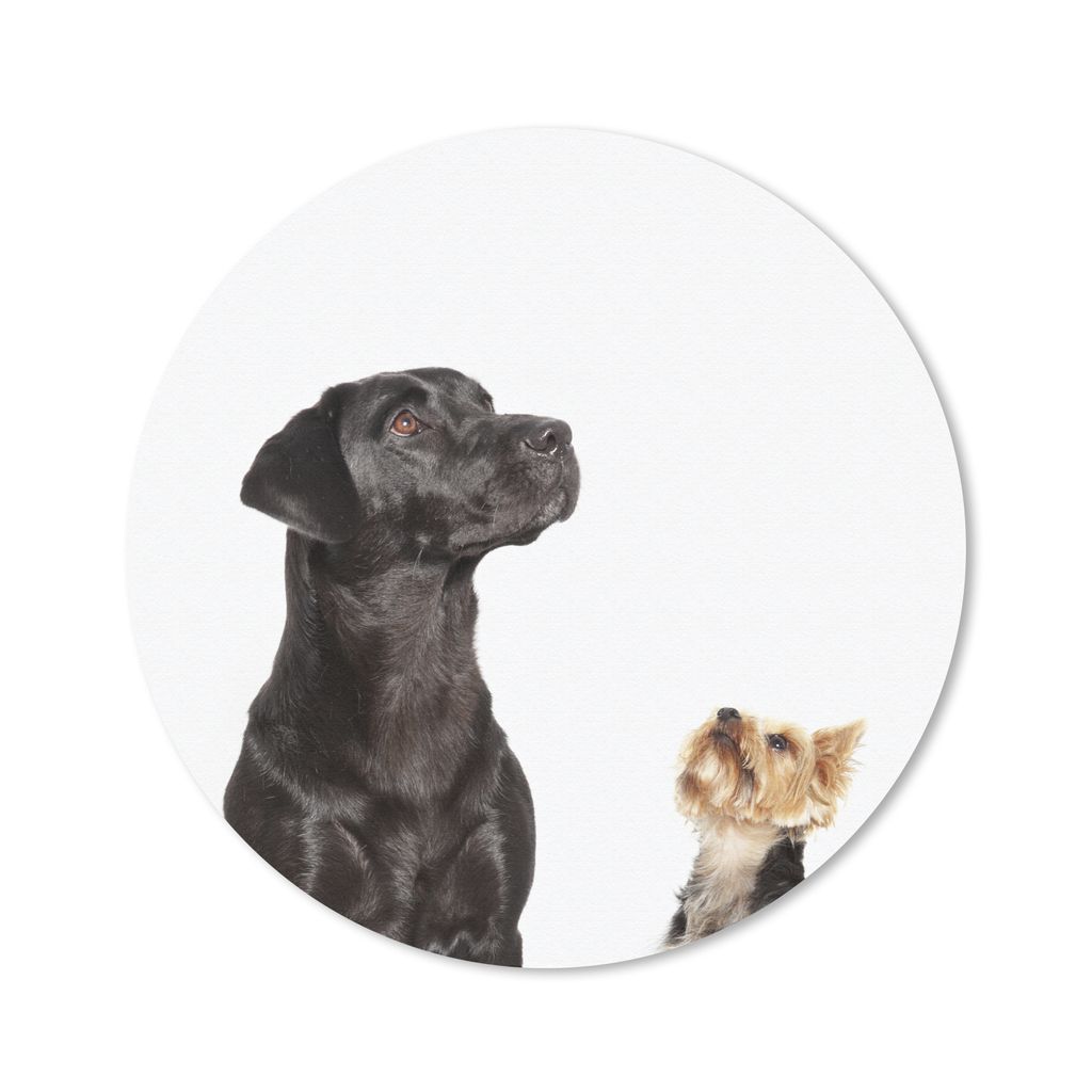 MuchoWow Mauspad Mousepad Aufstrebende Hunde 50x50 cm - Mousepads - Maus Mat - Pad - Mausunterlage - Vinyl
