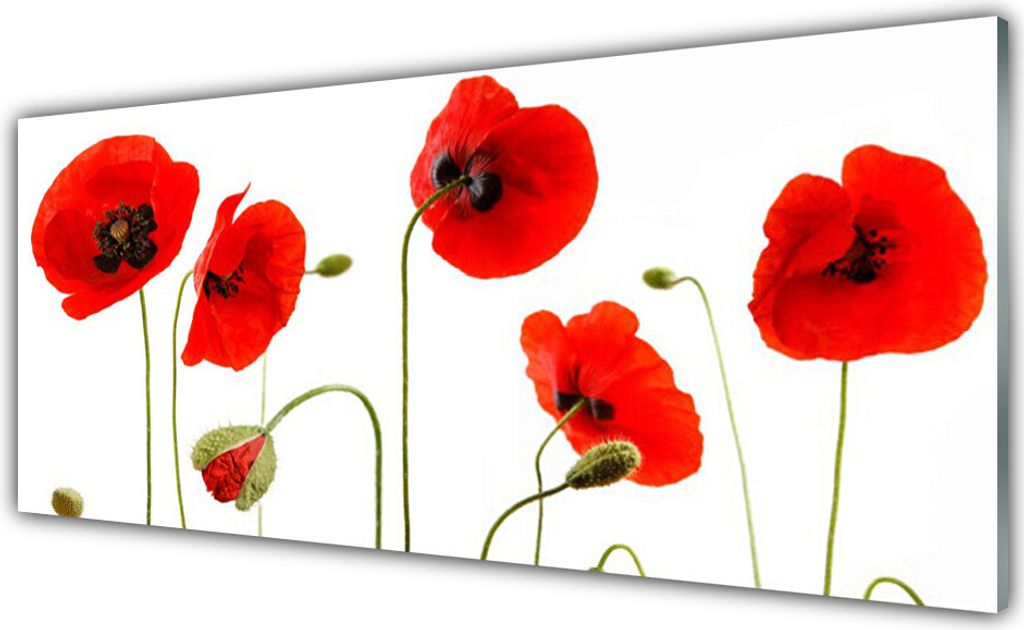 Acrylglasbilder 125x50 Wandbild Druck Mohnblumen Pflanzen