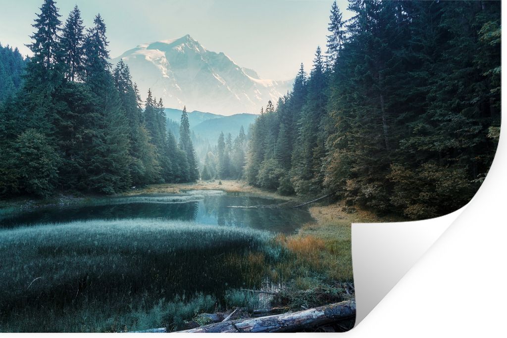 MuchoWow® Wandtattoo Wandsticker Wandaufkleber Wald - Gras Produktbild 