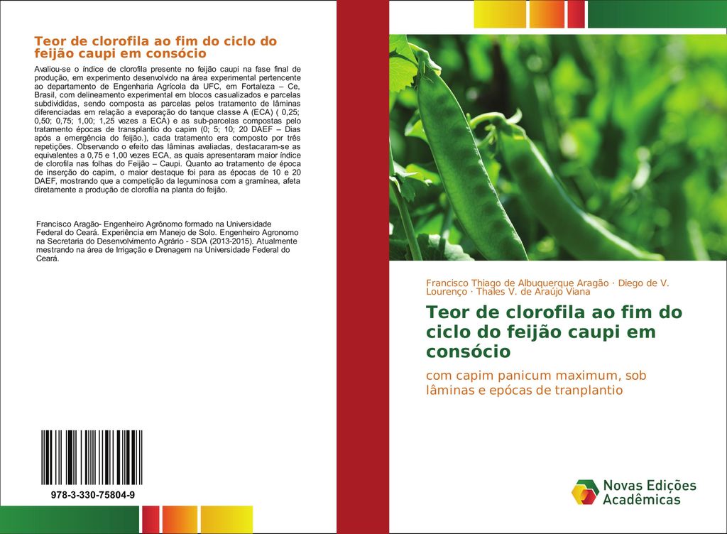 Teor de clorofila ao fim do ciclo do feijão caupi em consócio