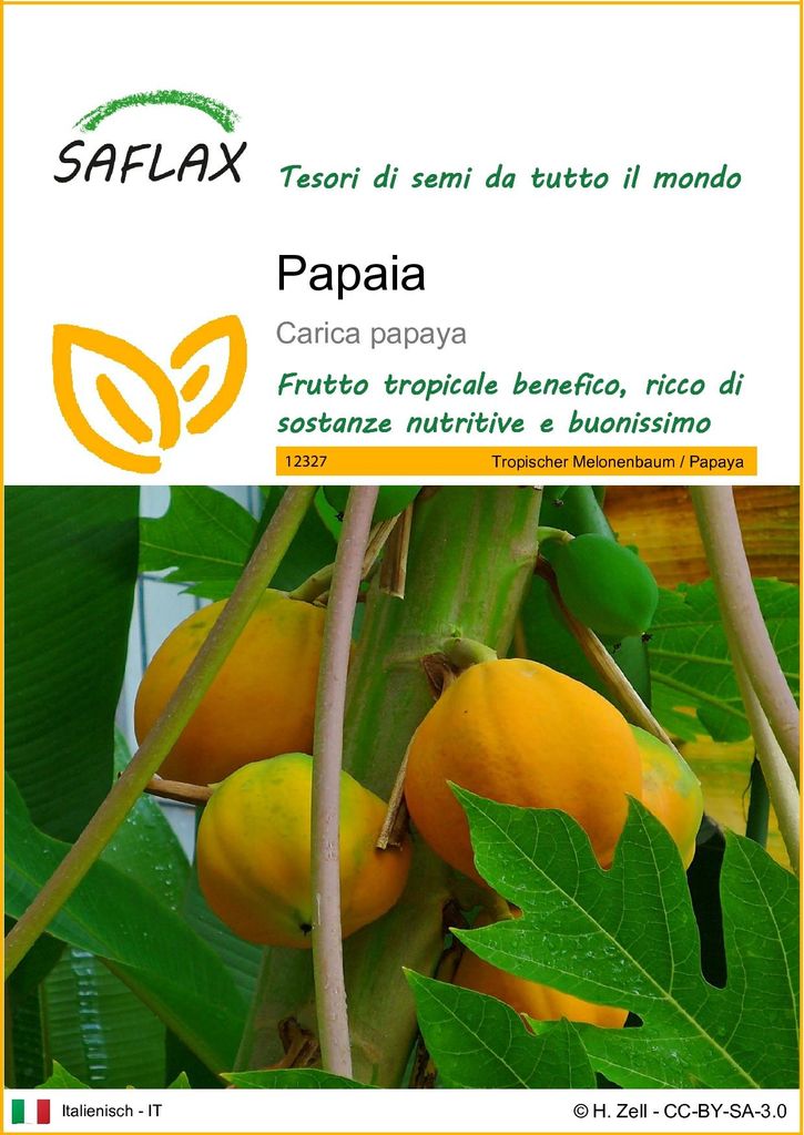 SAFLAX  - Papaia - 30 semi - Carica Immagine del prodotto 