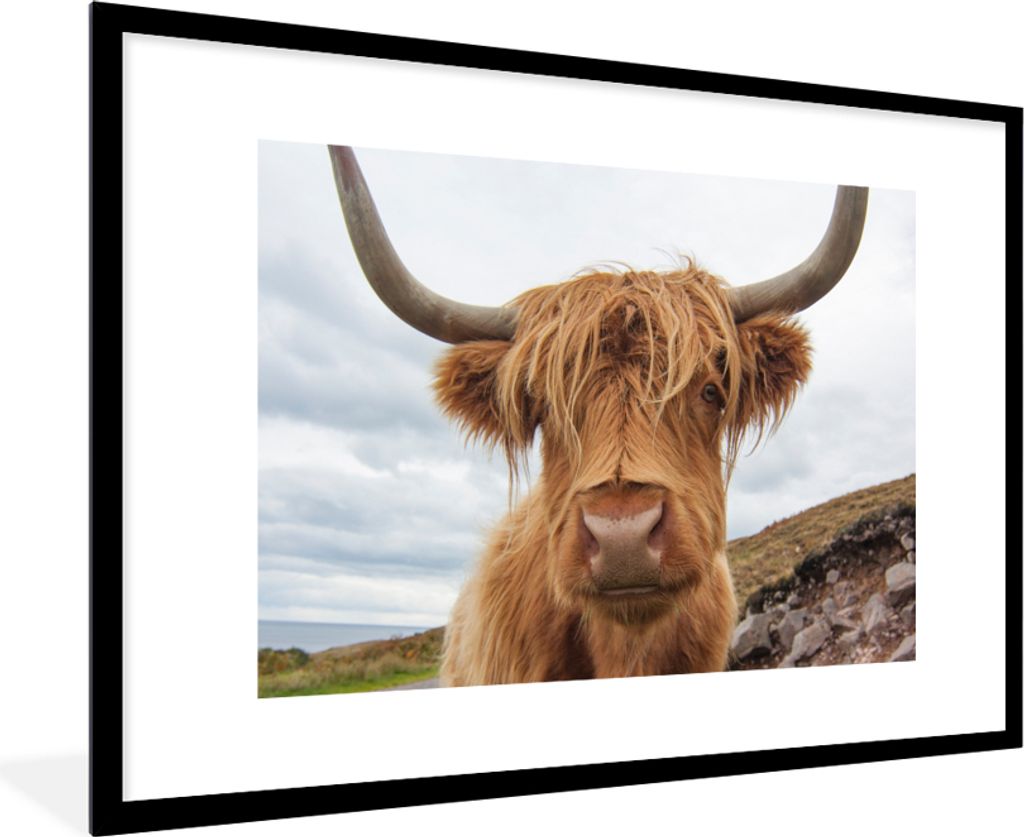 MuchoWow Gerahmtes Poster Schottischer Highlander - Hörner - Berg 90x60 cm - Poster mit Schwarzem Bilderrahmen Wandposter Rahmen Foto Bilder - W...