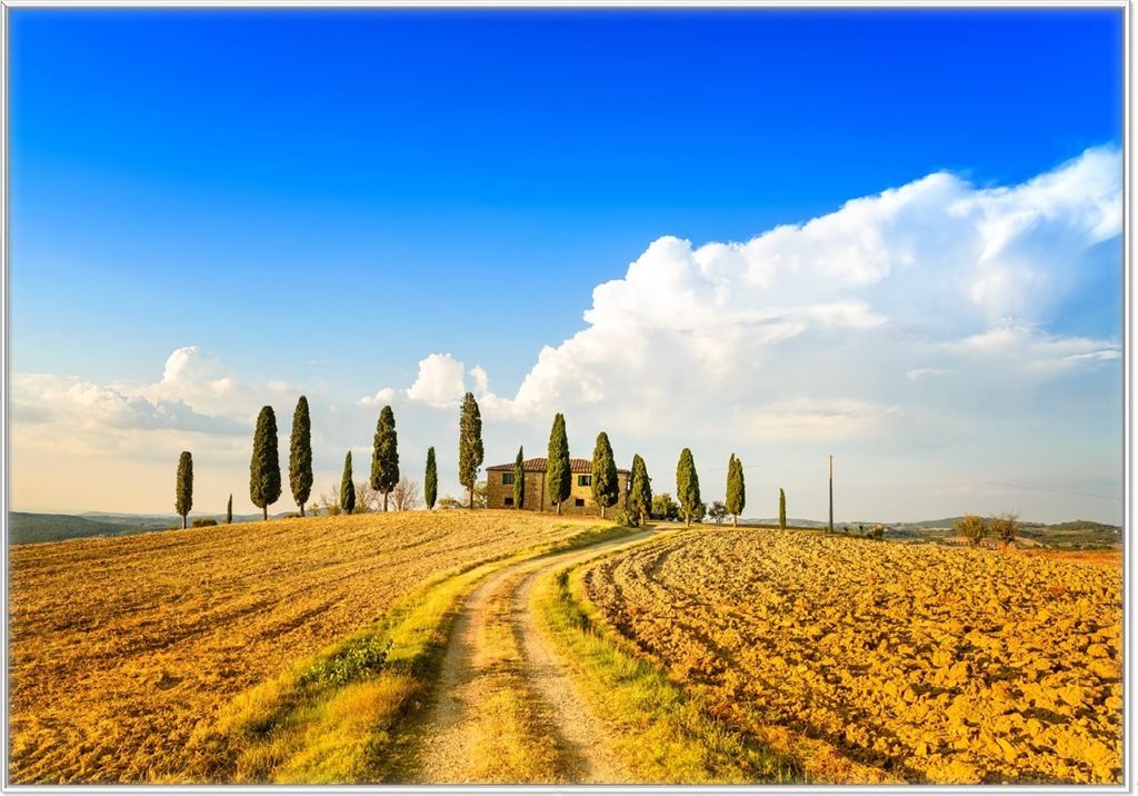Wallario Wandbild Italien - Toskana unter blauem Himmel einsame Farm, Größe: 70,30 x 100,30 cm, Poster mit weißem Kunststoffrahmen