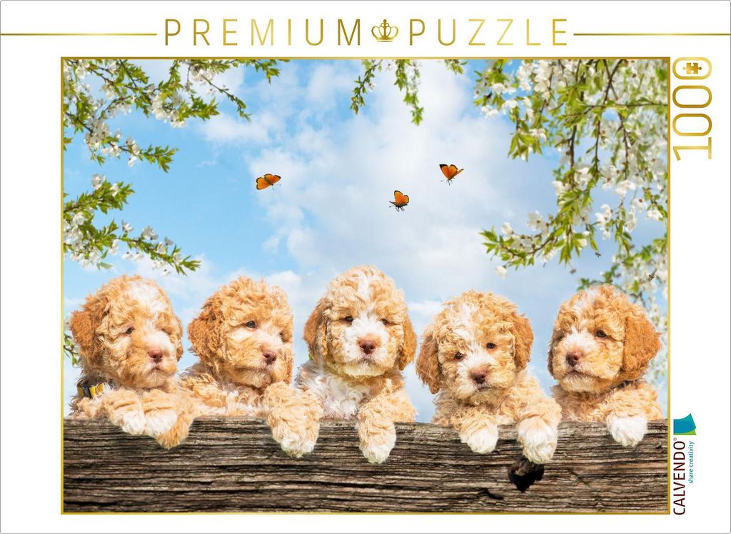 CALVENDO Puzzle Ein Motiv aus dem Kalender Lagotto Romagnolo - Bilder aus der Kinderstube 1000 Teile Puzzle quer | 1000 Teile Lege-Größe 64x48cm ...