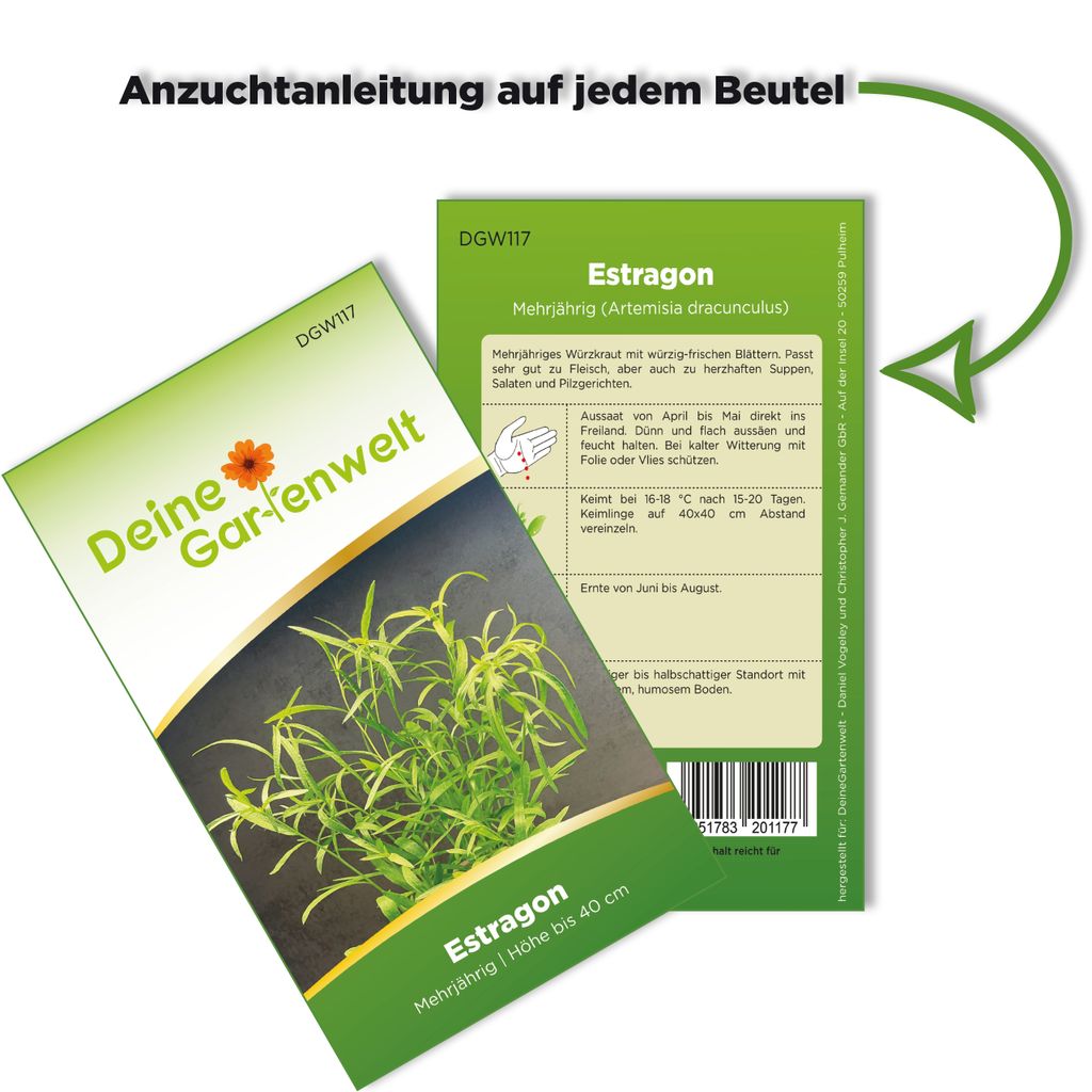 Estragon Mehrjährig Samen - Artemisia dracunculus - Produktbild 3