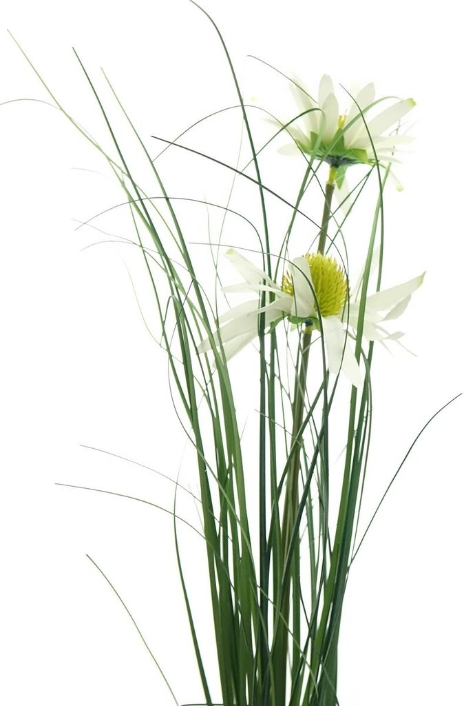 DPI Sonnenhut Cremeweiß mit 2 Blüten & Gras 92 cm - Kunstblumen