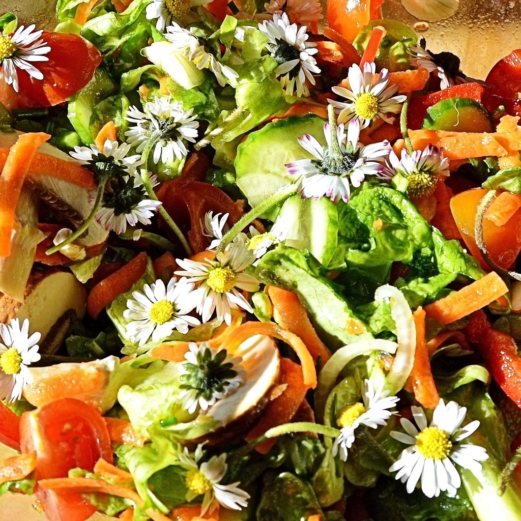 Gänseblümchen Einfach weiß Samen - Bellis perennis - Produktbild 6