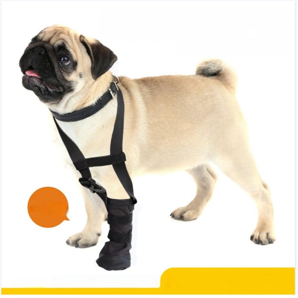 INF Hund Pfotenschutz mit Halsband - Verletzungsschutz & Leckschutz Stiefel XL