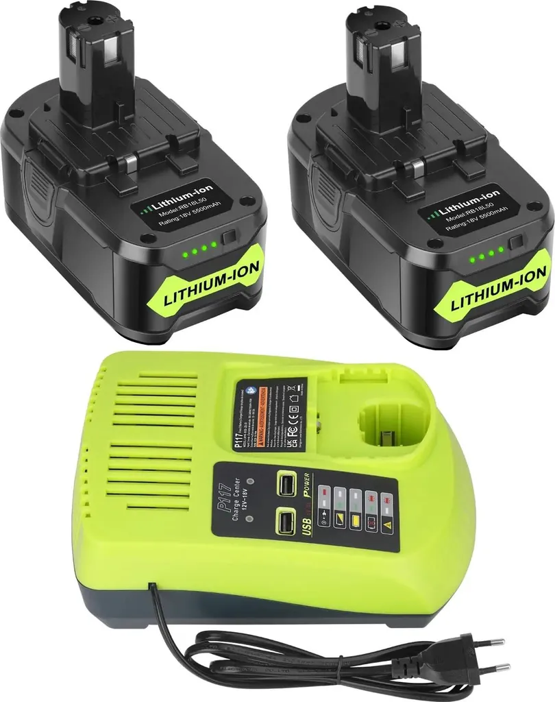 Lot de Batteries de Rechange 18V 5.5Ah avec Station de Charge Universelle