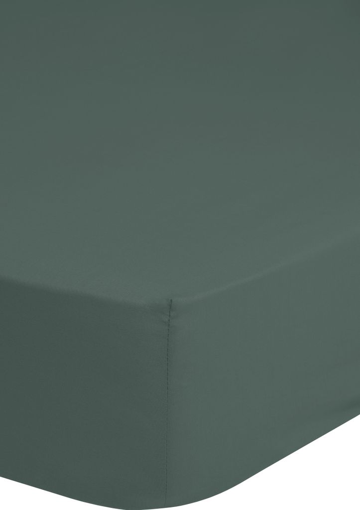 Fitted sheet Good Morning 140x200 cm - Solid color
