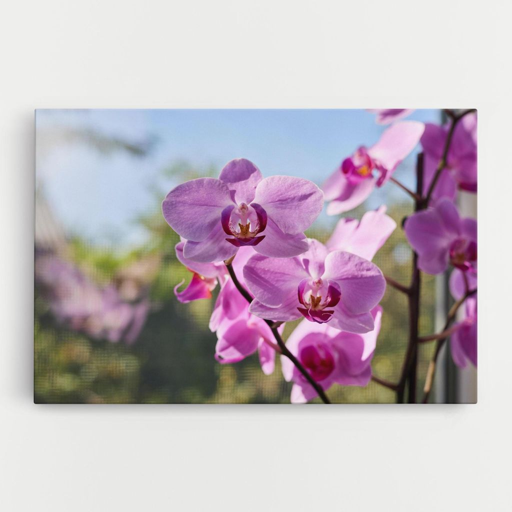 ARTHUB Leinwandbild 30x40 cm, Orchids In The Garden | Wohnzimmerdekoration, Hängende Bilder, Wanddekoration, Heimdekoration, Blumen, Orchideen