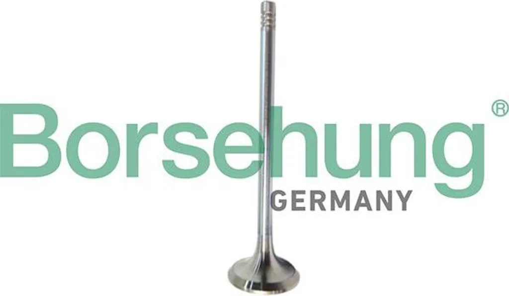Valvola di Scarico Borsehung B10321 OE 04E109611J - Qualità Audi VW