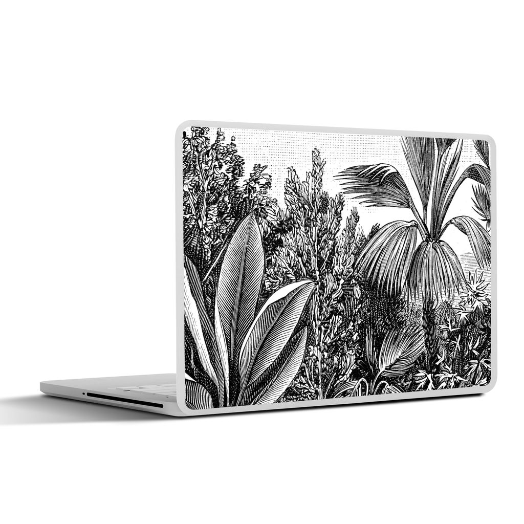 MuchoWow Laptop Aufkleber Sticker Cover Pflanzen - Natur - Gestaltung - Illustration - Ernst Haeckel 30x21 cm - Sticker für Laptop - Selbstklebend