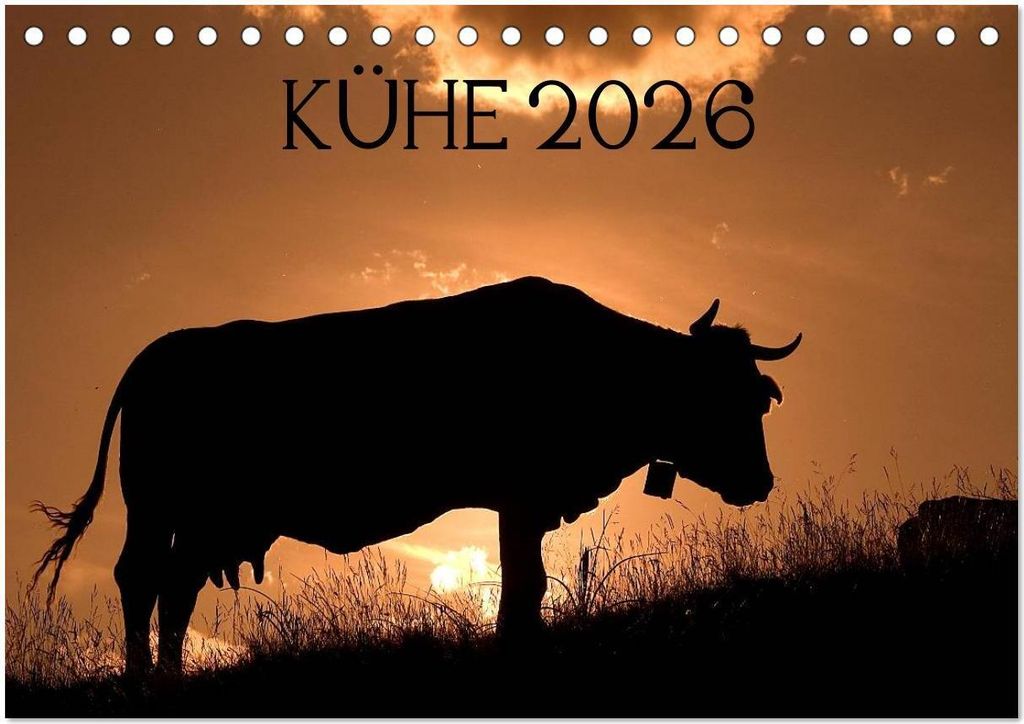 Kühe 2026 (Tischkalender 2026 DIN A5 quer), CALVENDO Monatskalender