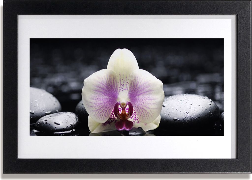Bild 30x20 MDF-Rahmen Wandkunst Blume Orchidee Pflanze