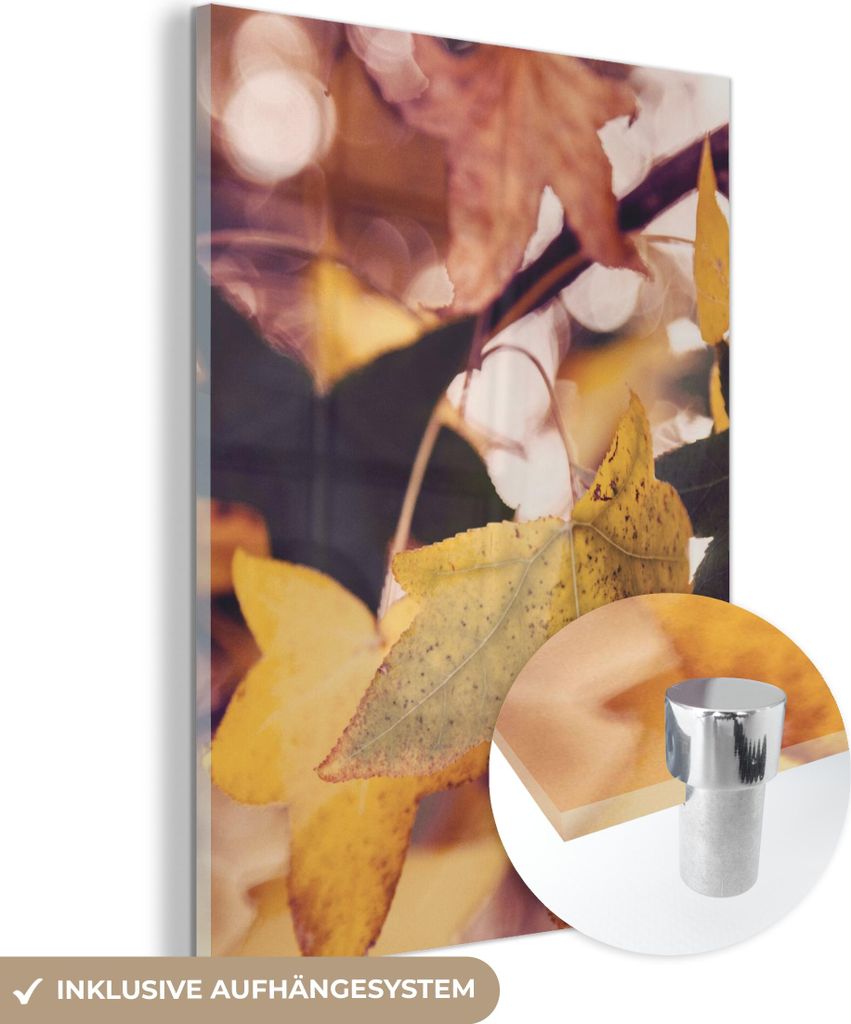 MuchoWow Glasbilder - Bilder auf Wandbild - Foto auf Glas Blätter - Ahorn - Herbst - Jahreszeiten 60x80 cm Wanddekoration aus Glas - Acrylglasbild...