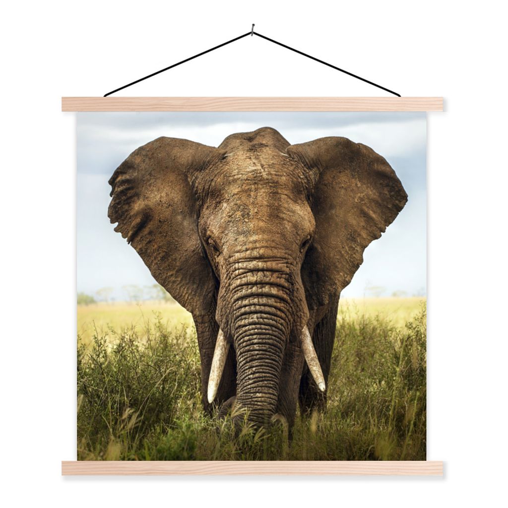 MuchoWow Textilposter Elefant - Gras - Tiere - Natur 120x120 cm mit holzfarbenen Rahmen - Textil-Poster
